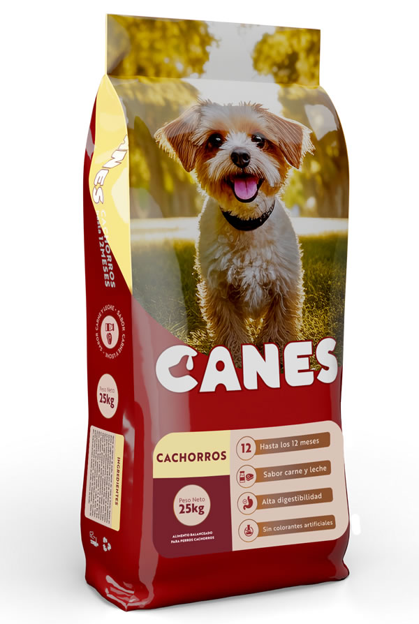 Cachorros