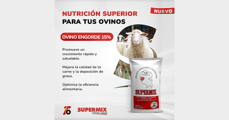 Ovino Engorde 15 %: Nuevo producto para la Producción Ovina.